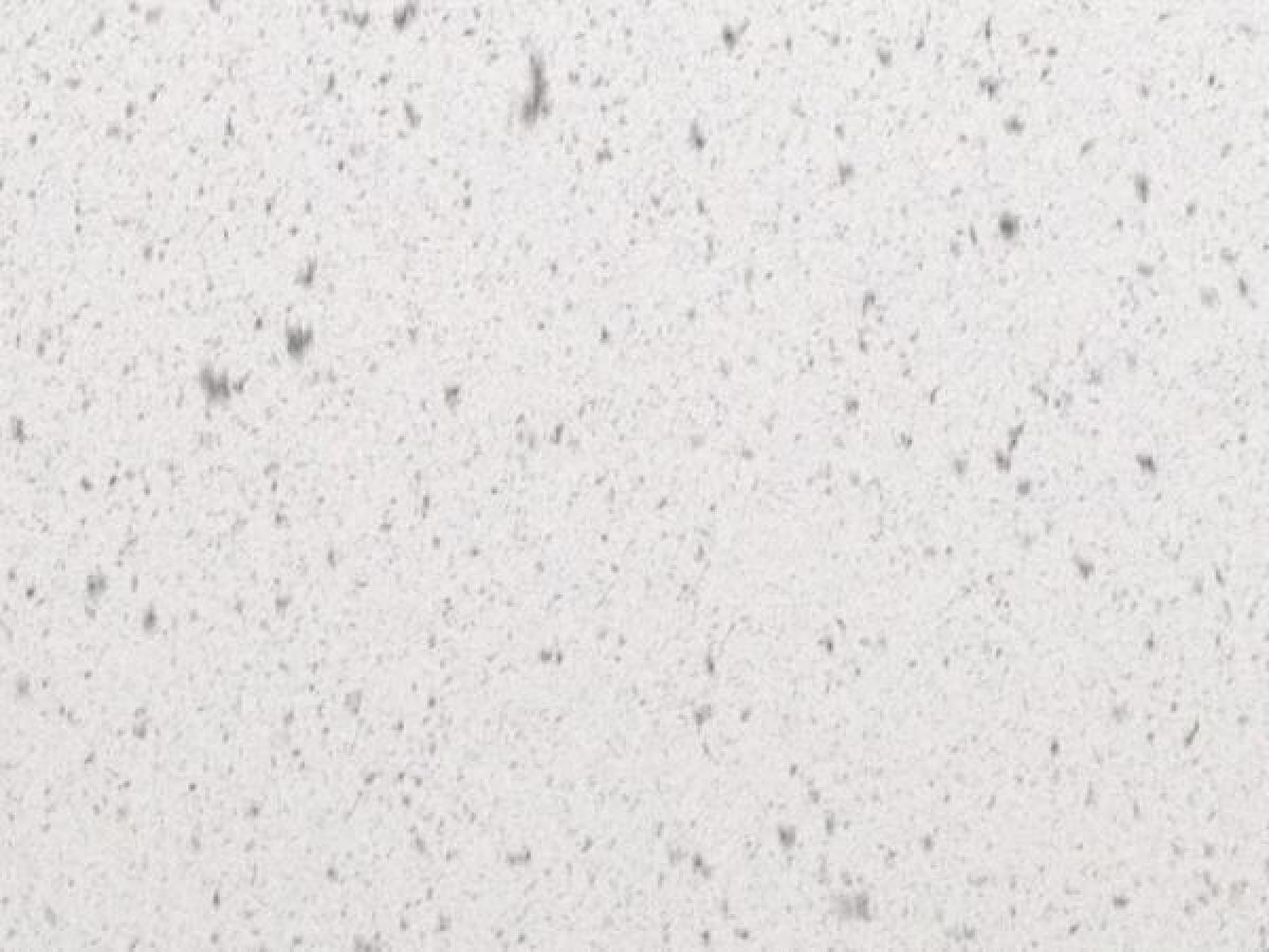 Il Trenino Breaking News - Roma Lido ferma - 