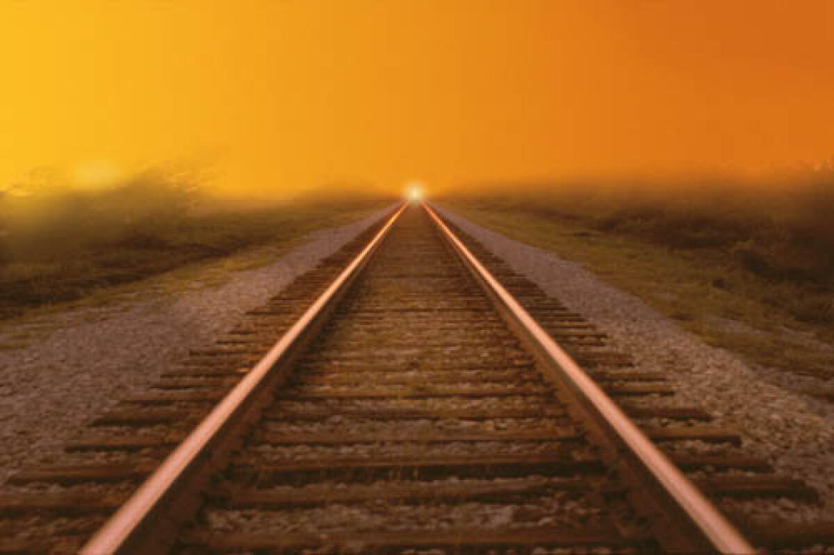 In azione le "Sentinelle degli alberi" sulla Roma-Lido - 