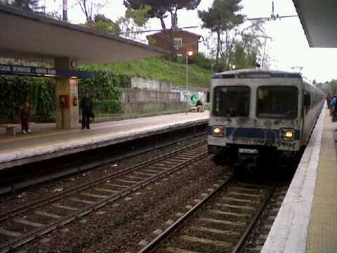 bernocchi13042012.JPG