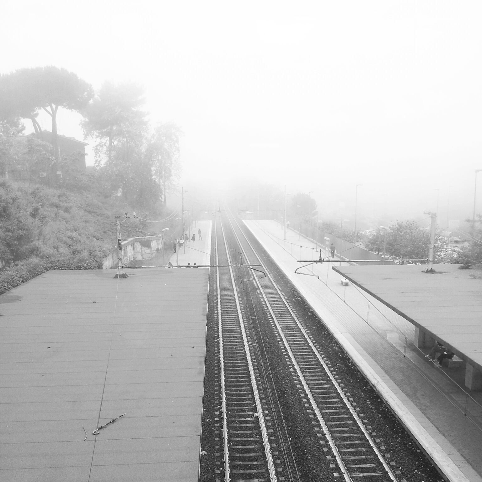 bernocchi_nebbia.jpg