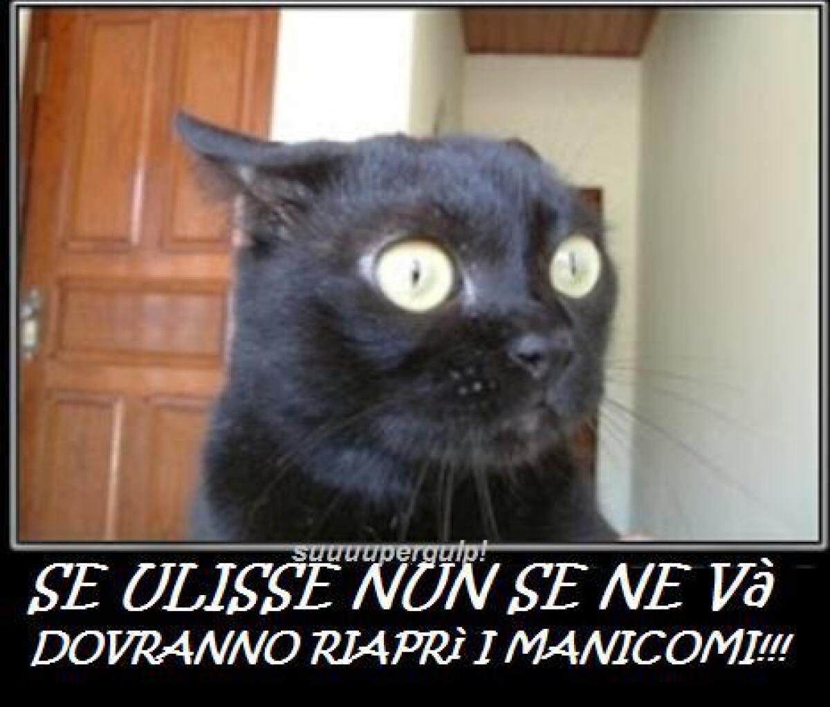 Voci dal Treno - 30/07/2012 Gli utenti "liquesi" - 