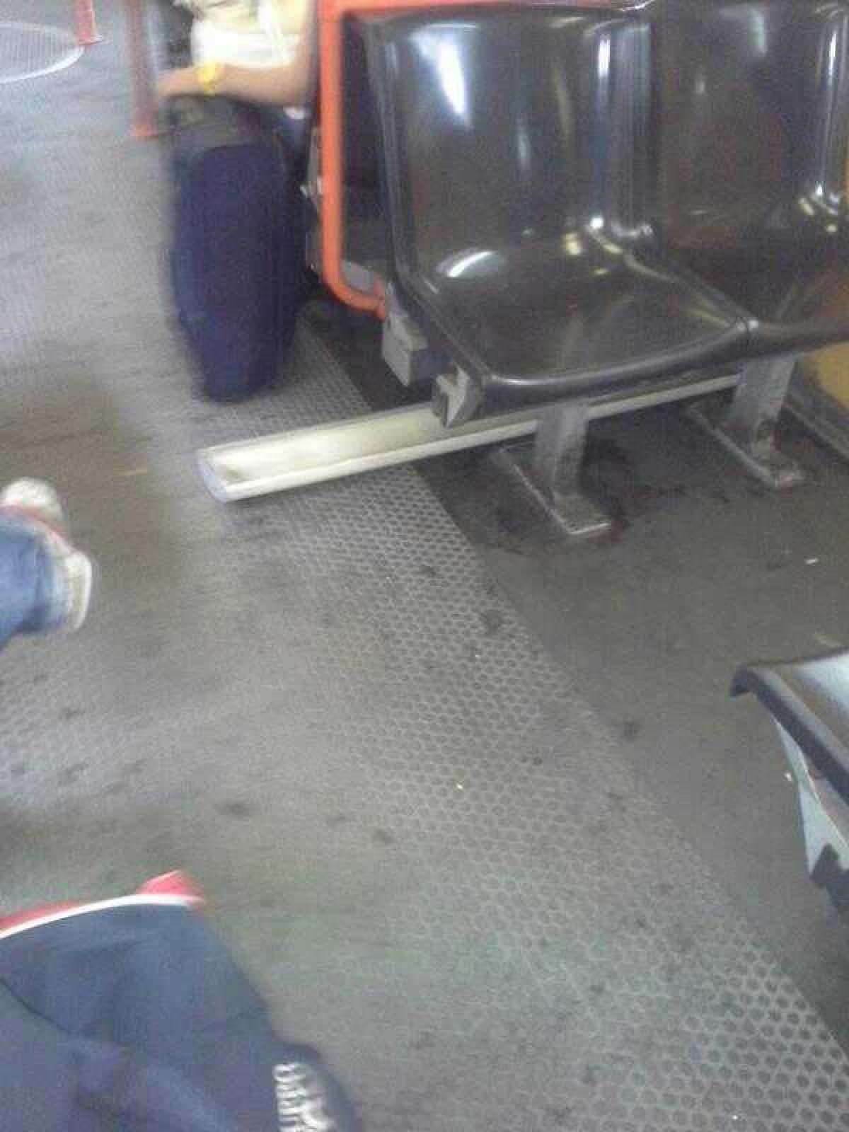 Aprite gli ombrelli!!!!!! - 