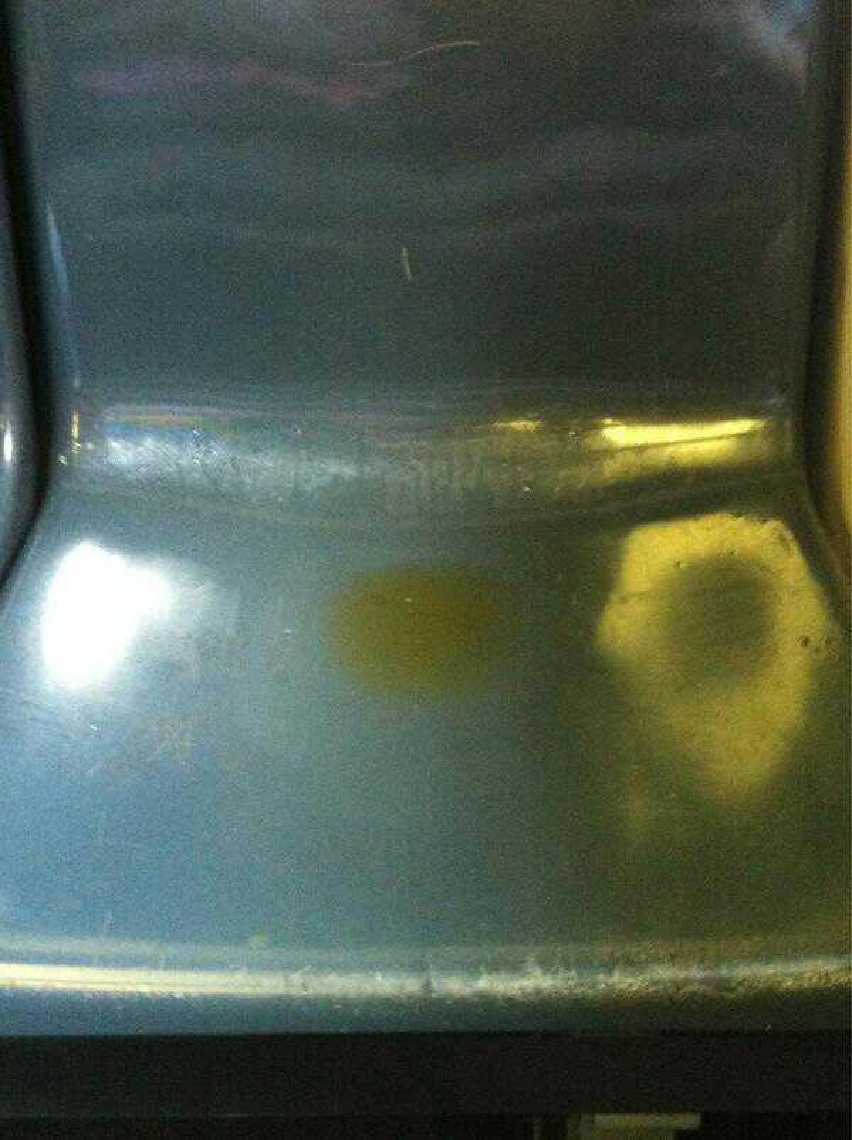 La Pulizia del Trenino Roma-Lido - 