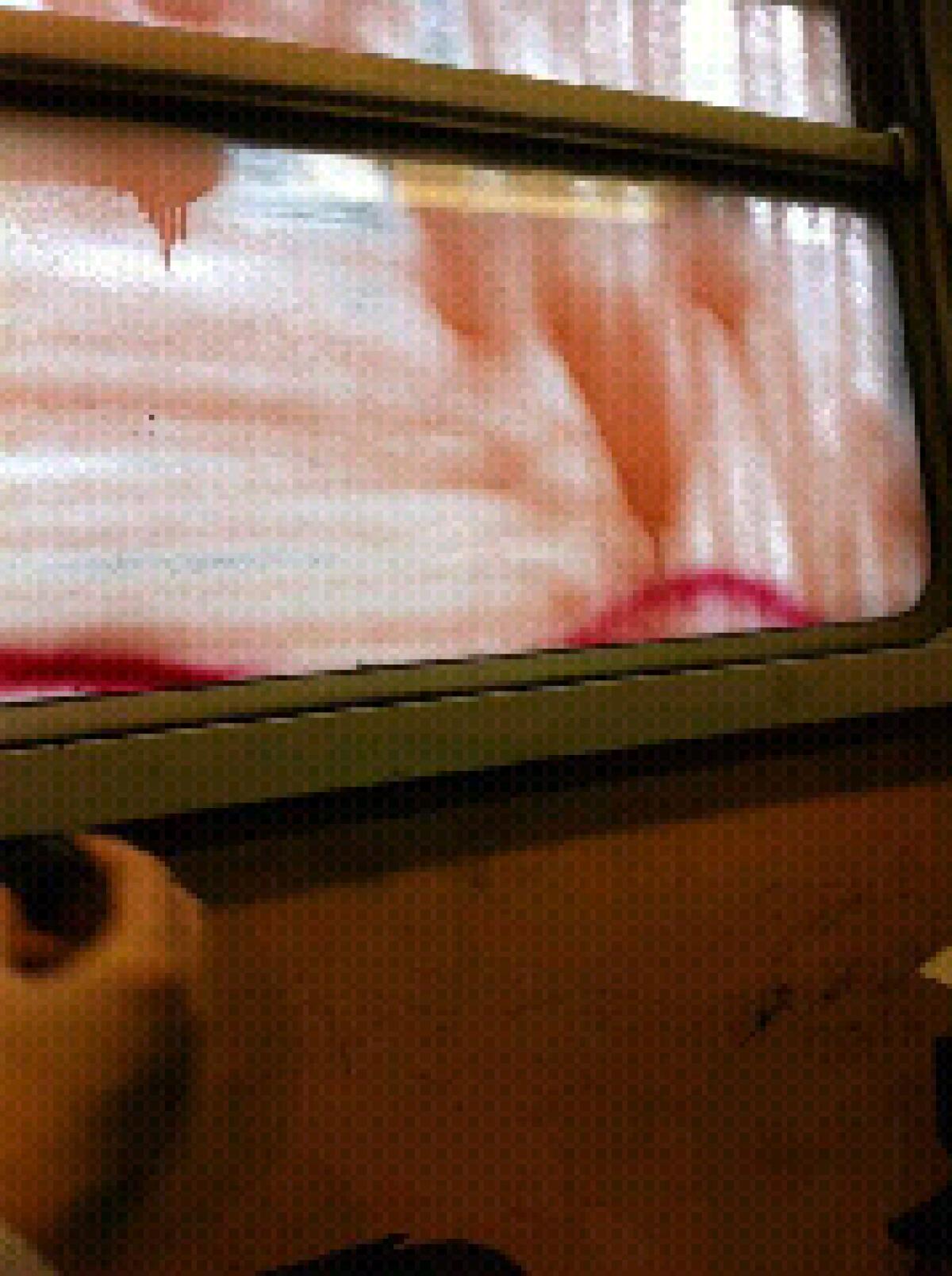 Roma-Lido a luci rosse - 