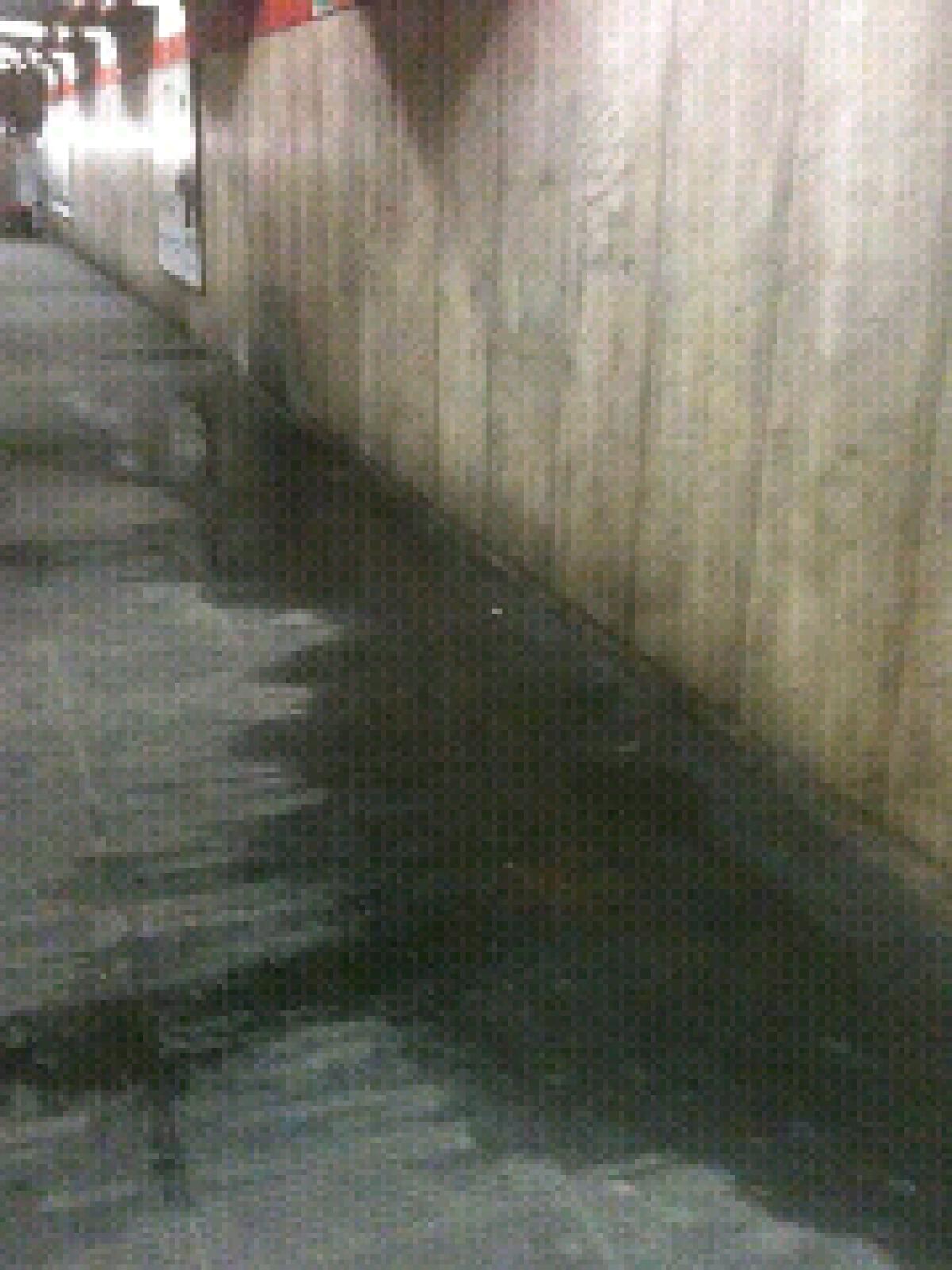 Il piccolo problema delle Infiltrazioni - 