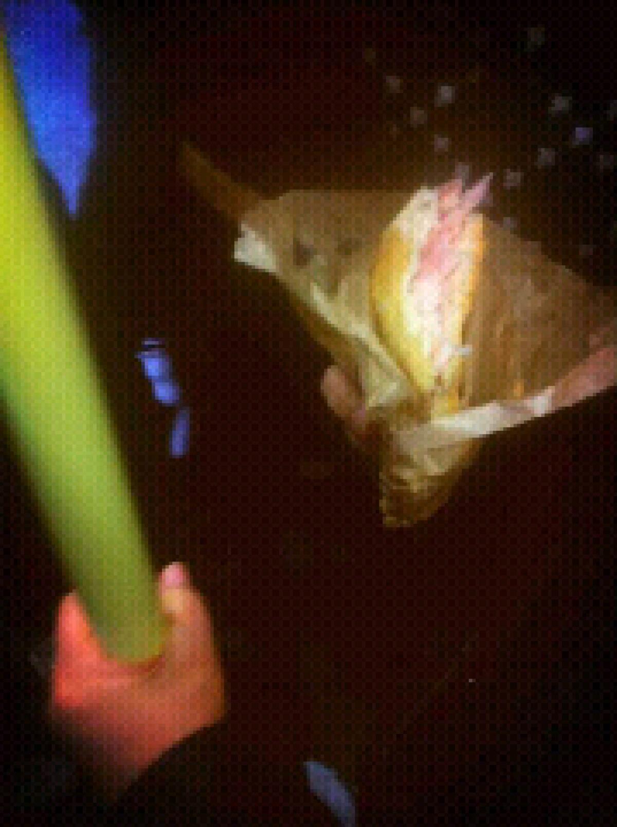 Colazione on board - 