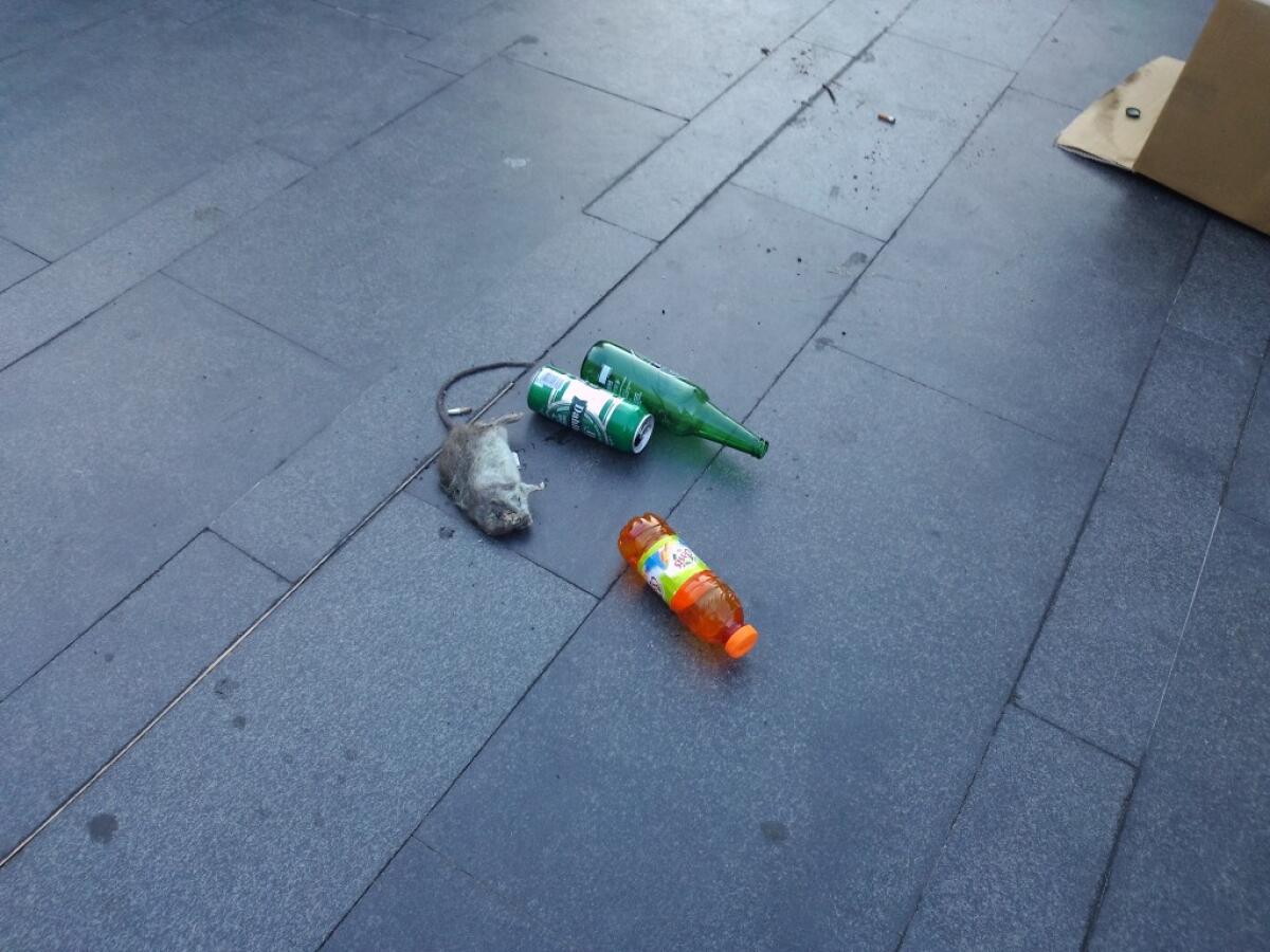 #Atac ed il Topo di Valle Aurelia - 