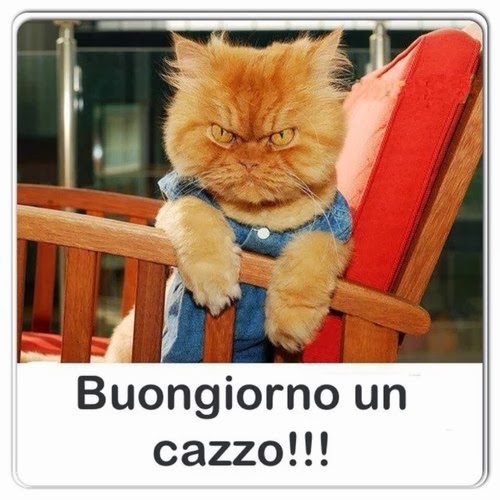 buongiorno_un_cazzo.jpeg