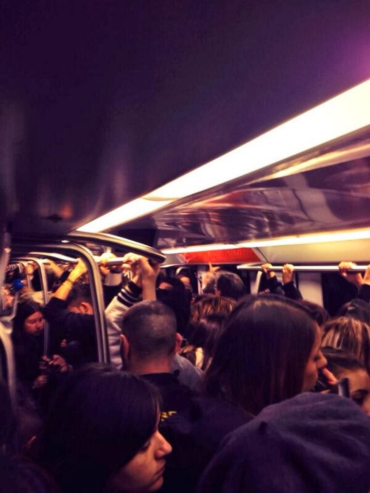 Ogni maledetto sciopero - 