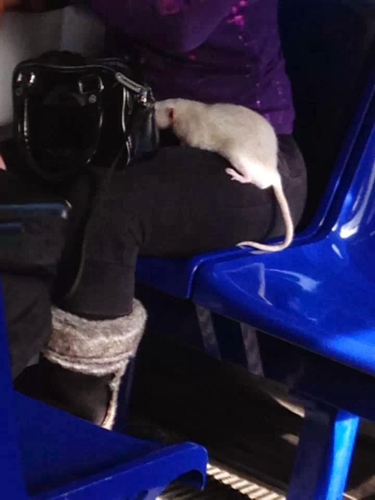 Accade sulla #RomaLido - 