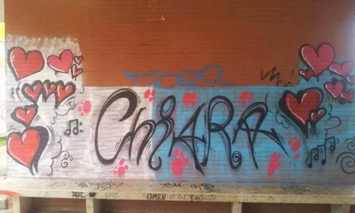 Del decoro dei mezzi pubblici - 