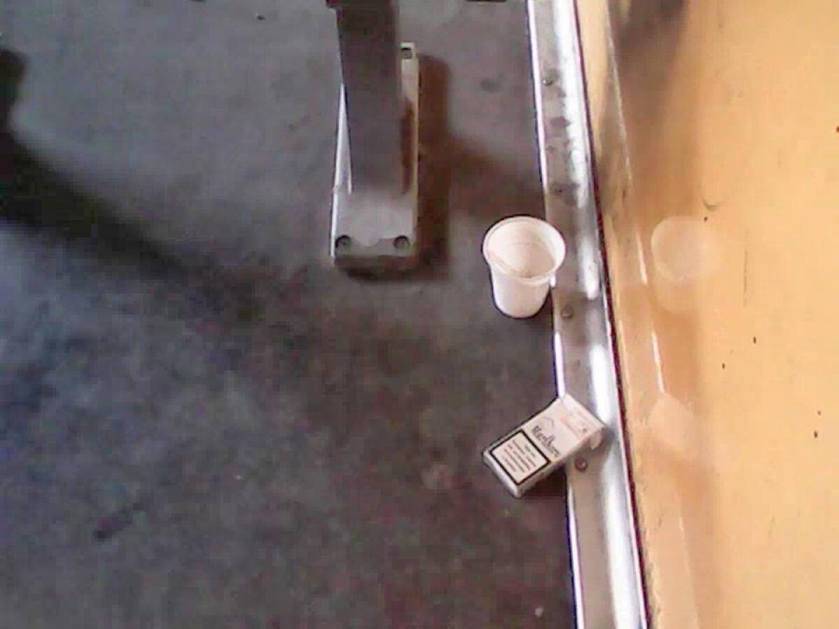 Della pulizia sui vagoni - 