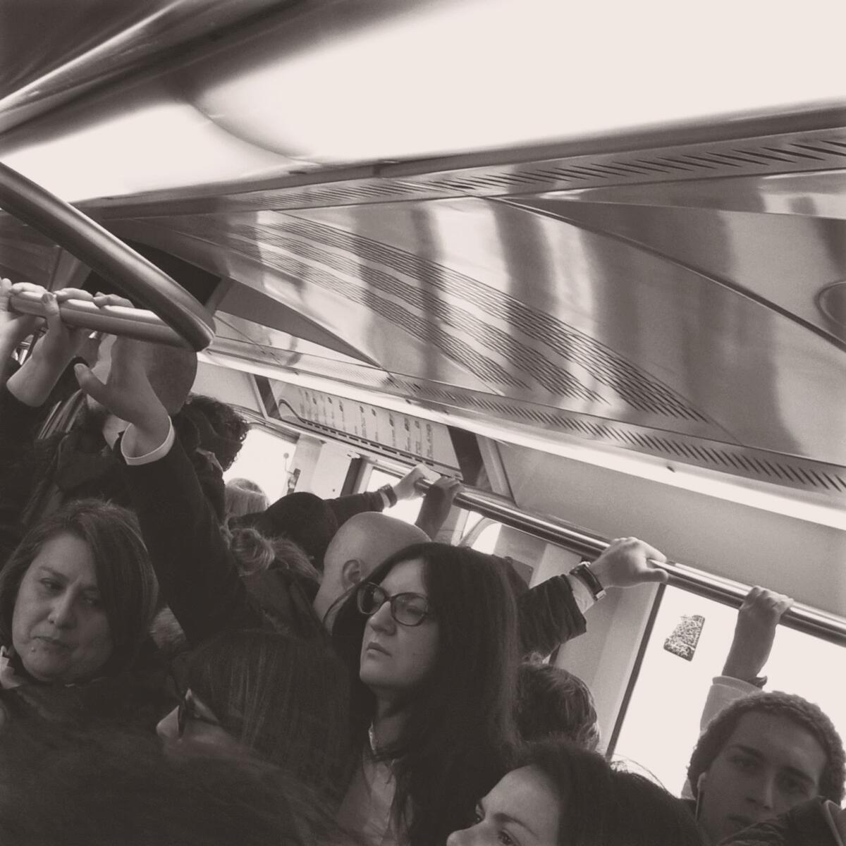 #RomaLido: La transumanza di stamattina - 