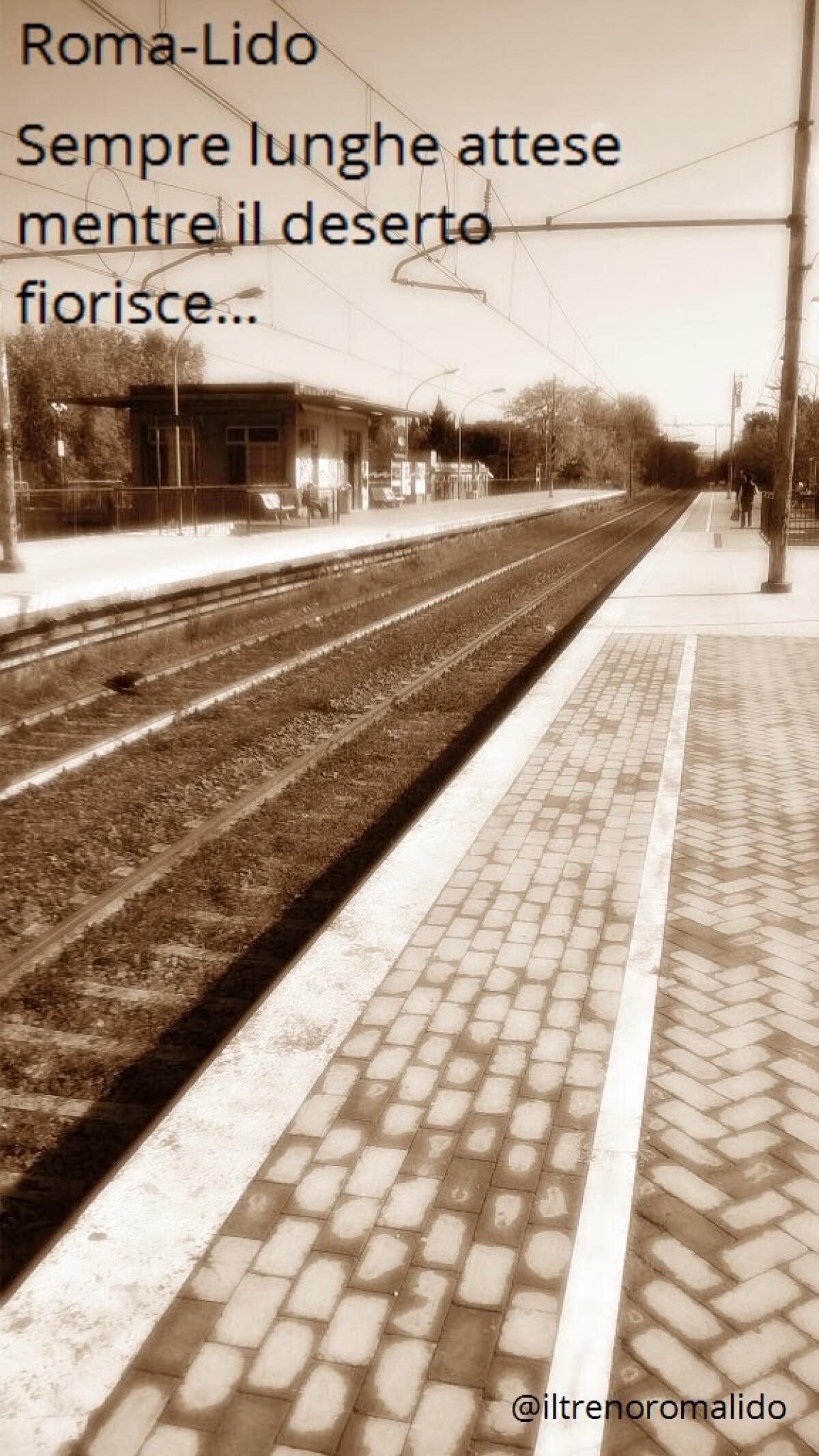 Sempre lunghe attese mentre il deserto fiorisce... - 