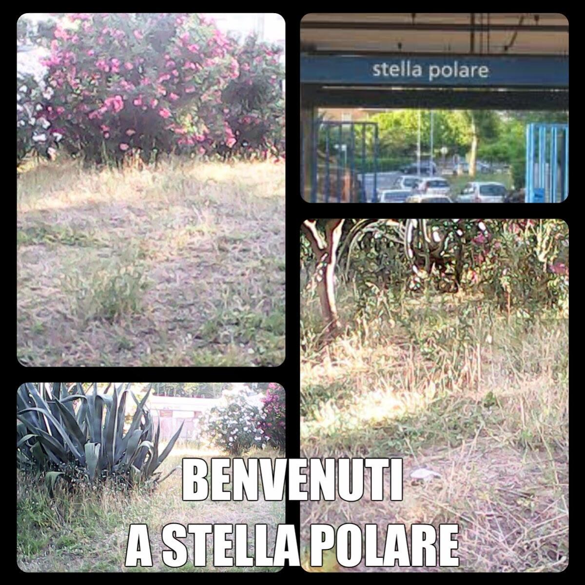 Benvenuti a Stella Polare - 