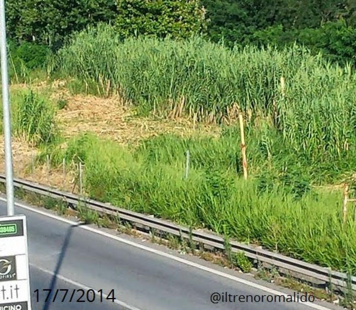 Il parcheggio di Casal Bernocchi 17/7 - 