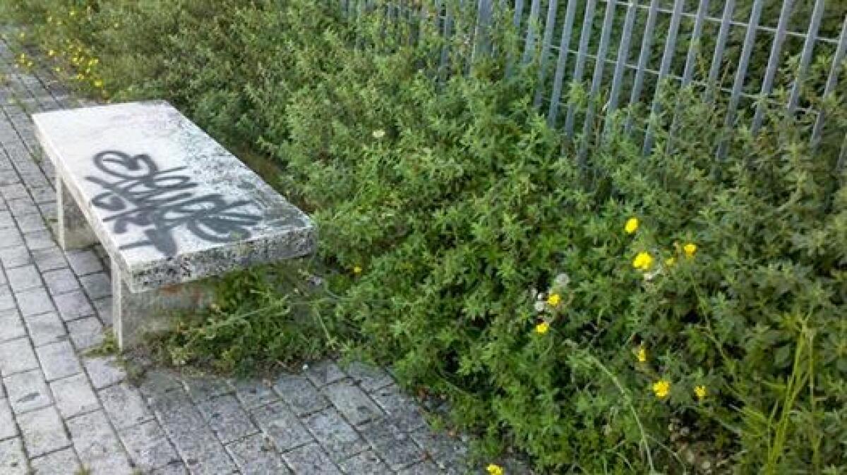 Sulla Roma-Lido domina l'amore per la natura - 