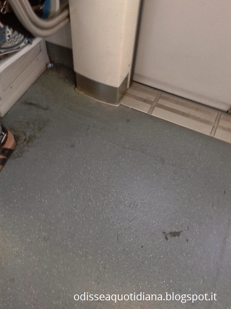 Roma-Lido: la pulizia dei treni