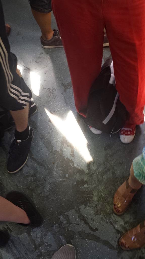 Roma-Lido: la pulizia dei treni