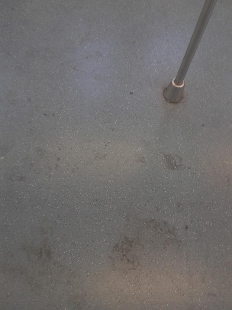 Roma-Lido: la pulizia dei treni