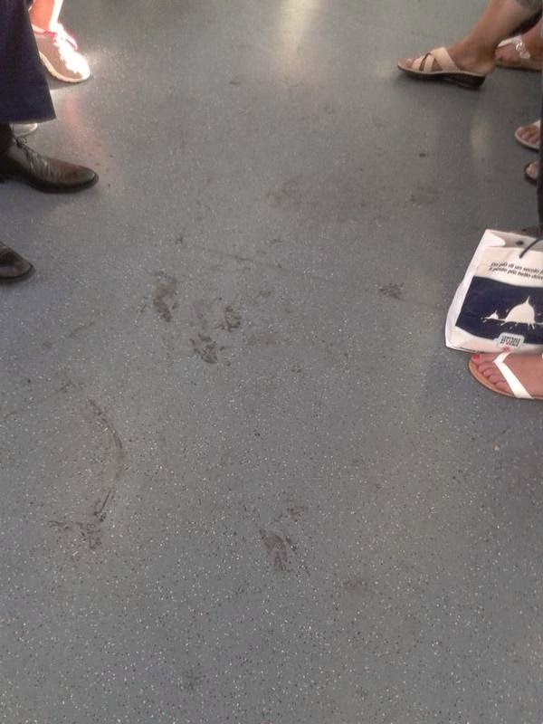 Roma-Lido: la pulizia dei treni