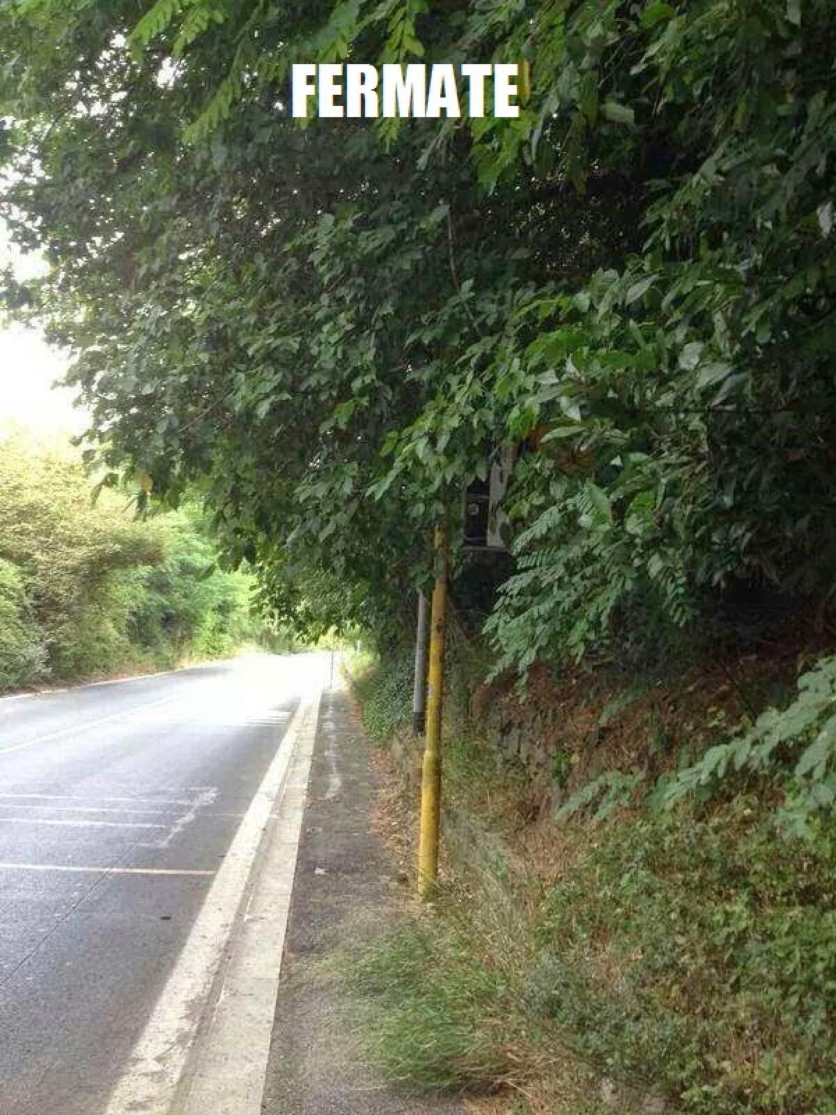 Estate con #Atac - Parte seconda - 