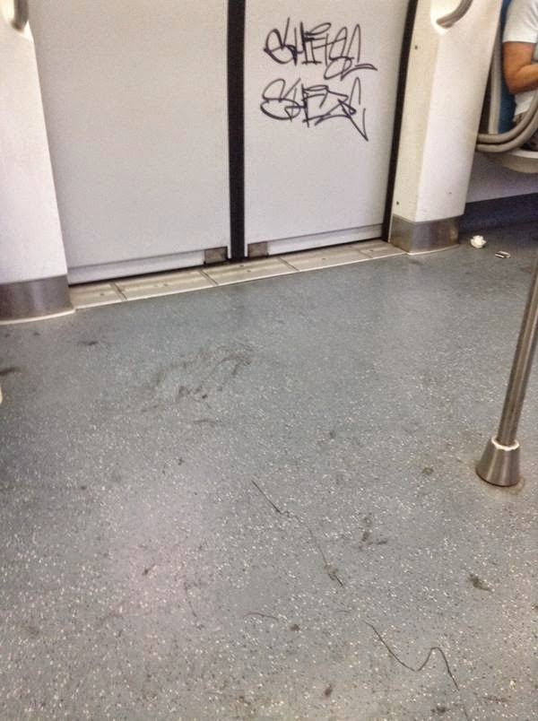 La pulizia della Roma-Lido