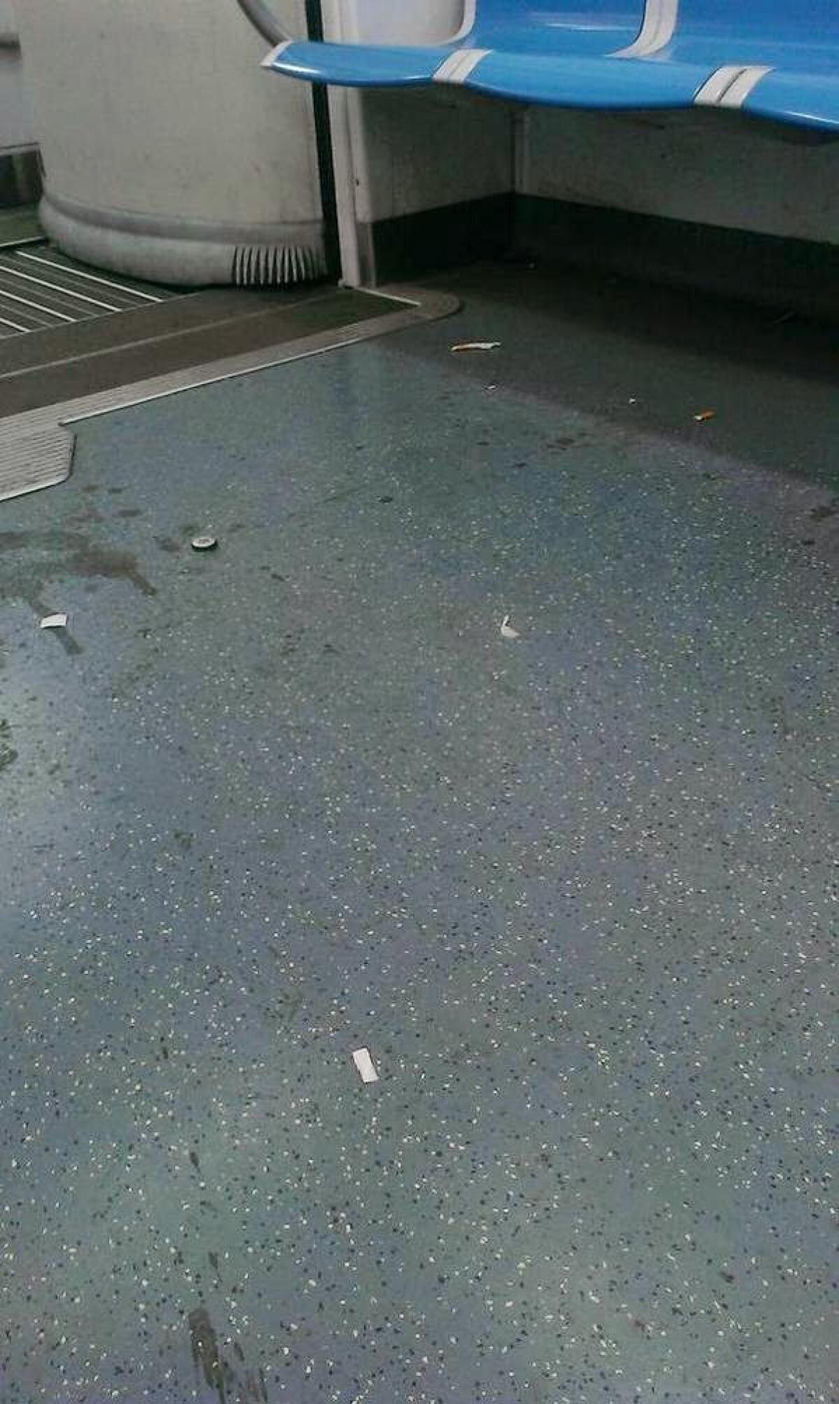 Monnezza sulla Roma Lido, ma la colpa di chi è? - 