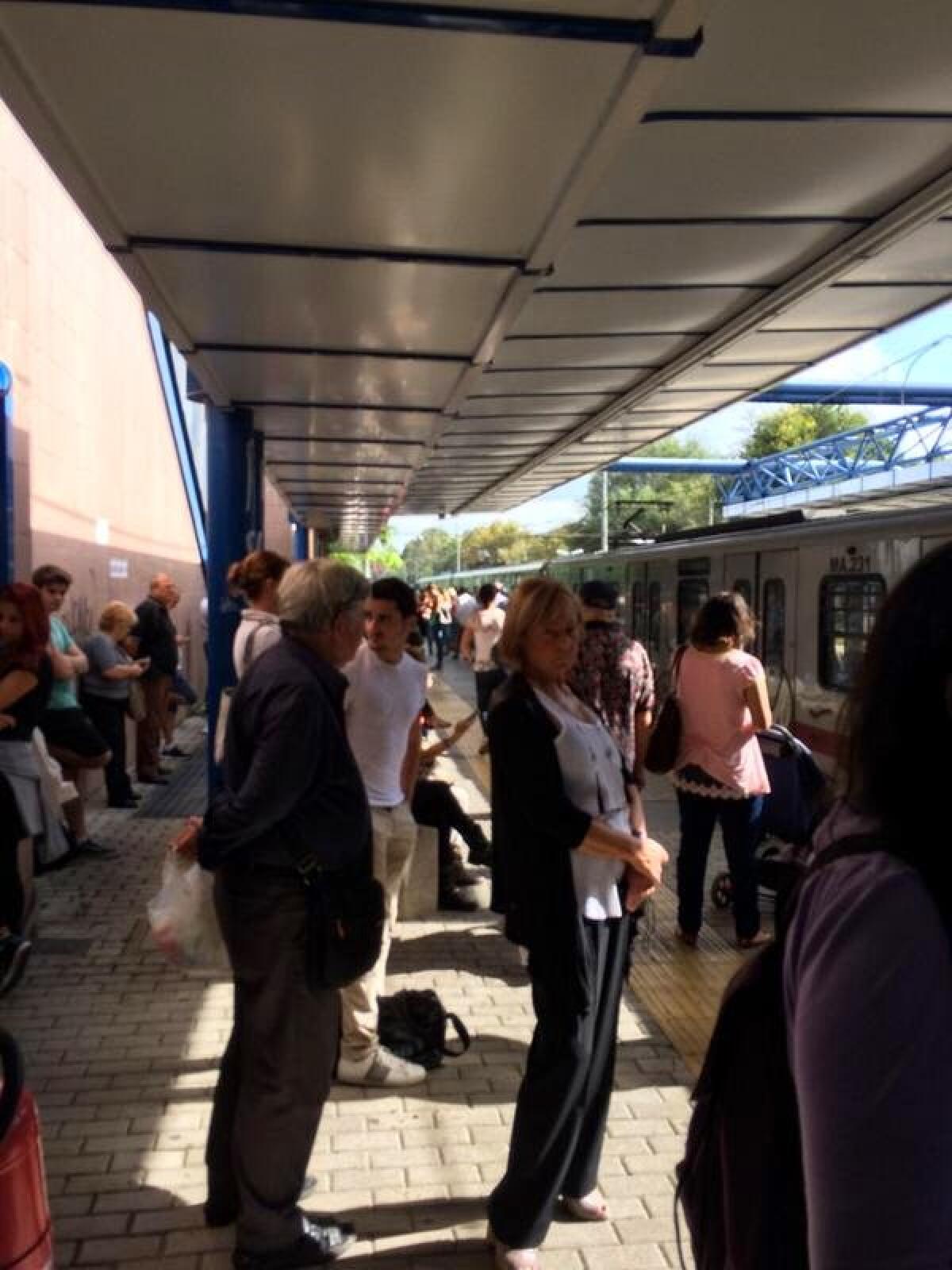 #RomaLido Servizio sospeso causa albero - 