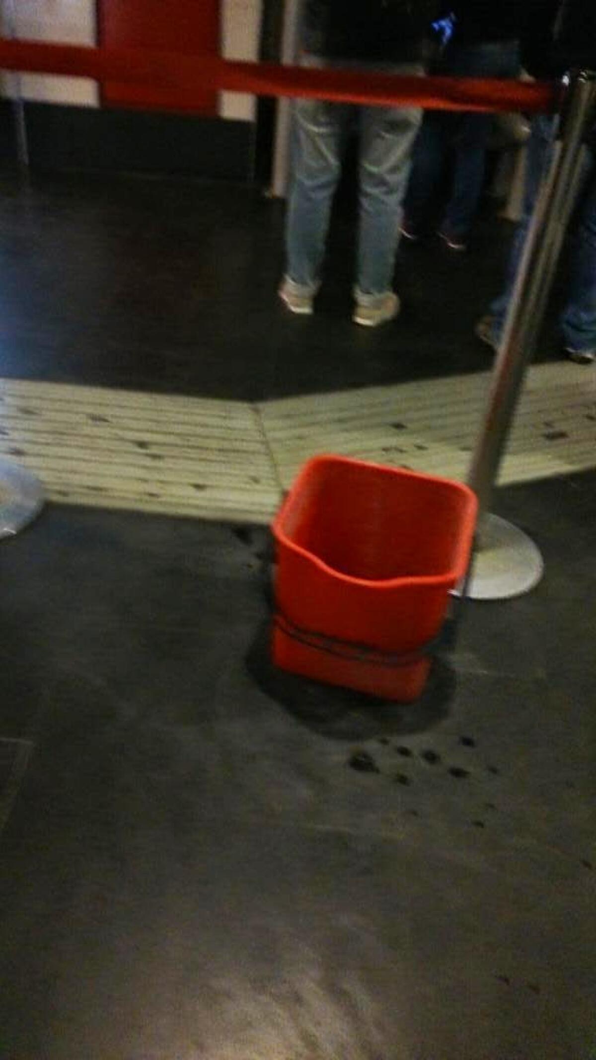 Secchi si aggirano nelle stazioni della Metro A - 