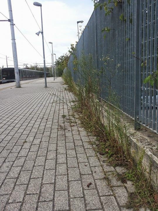 Roma-Lido: Stazione di Casal Bernocchi