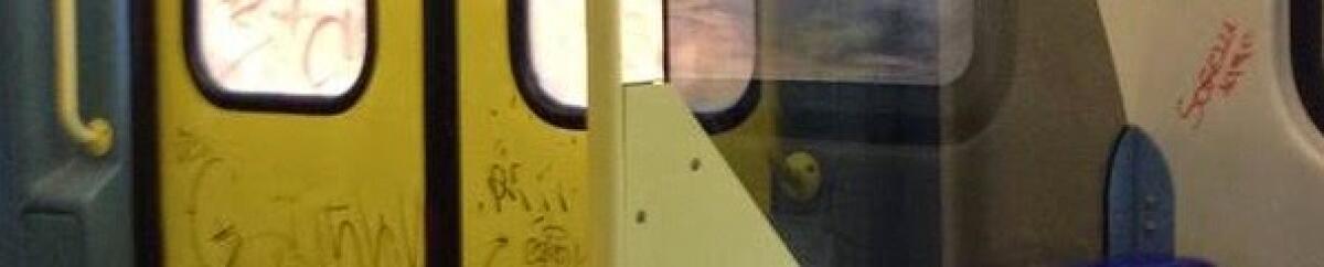 La condizione dei nostri treni... - 