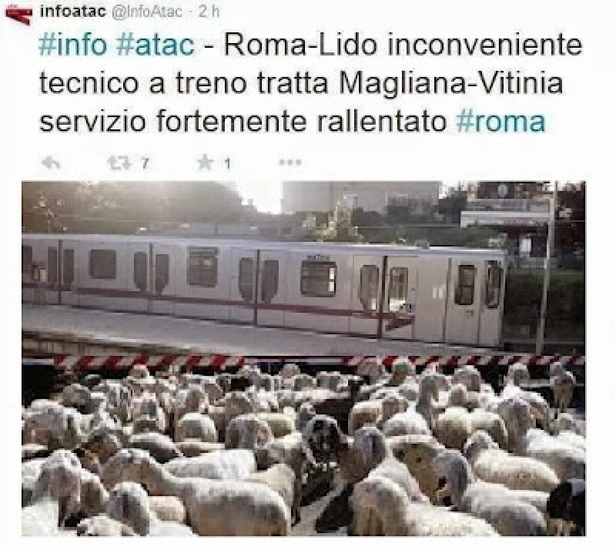 Roma-Lido: La situazione è intuittabile - 