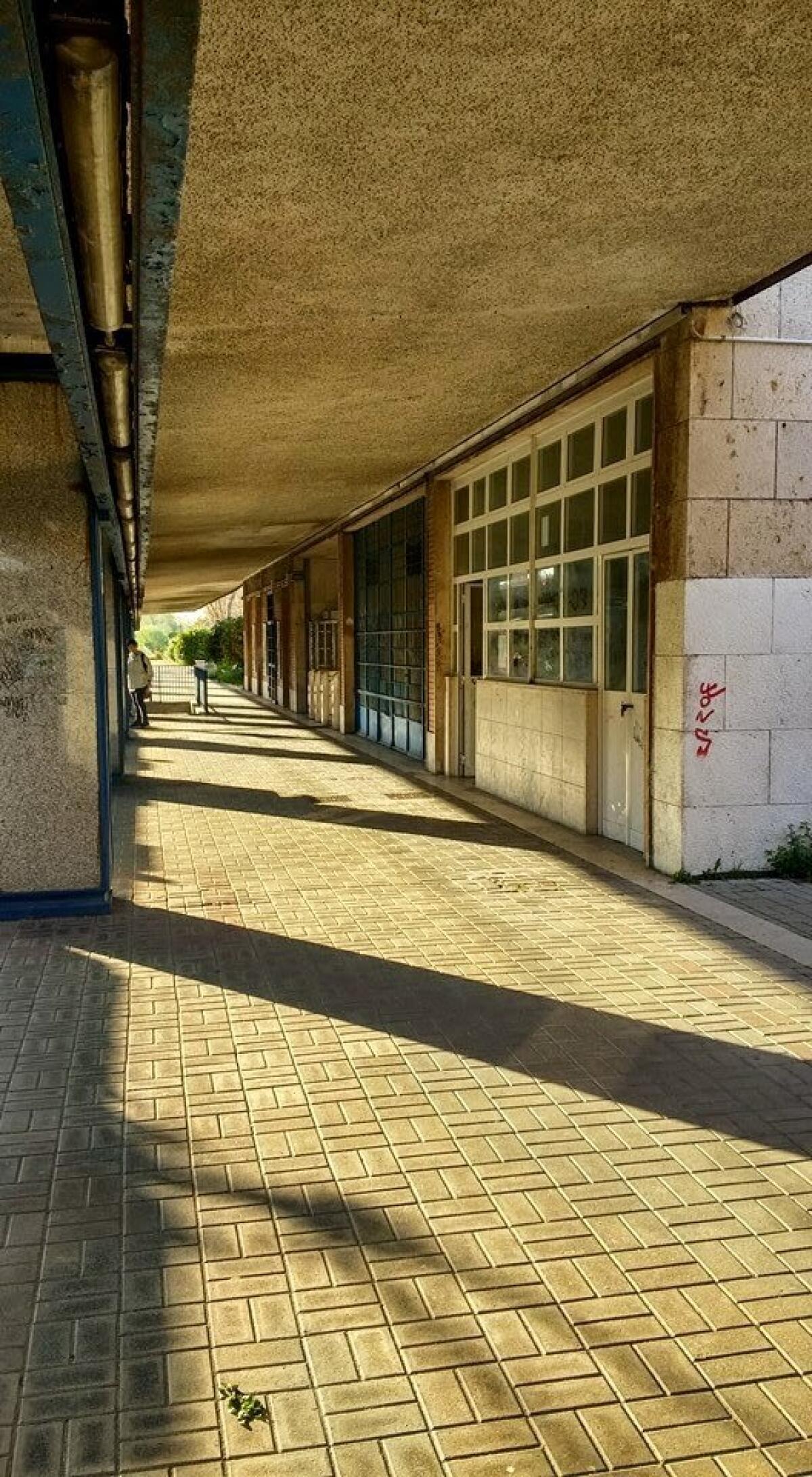 Buone notizie da Castel Fusano - 