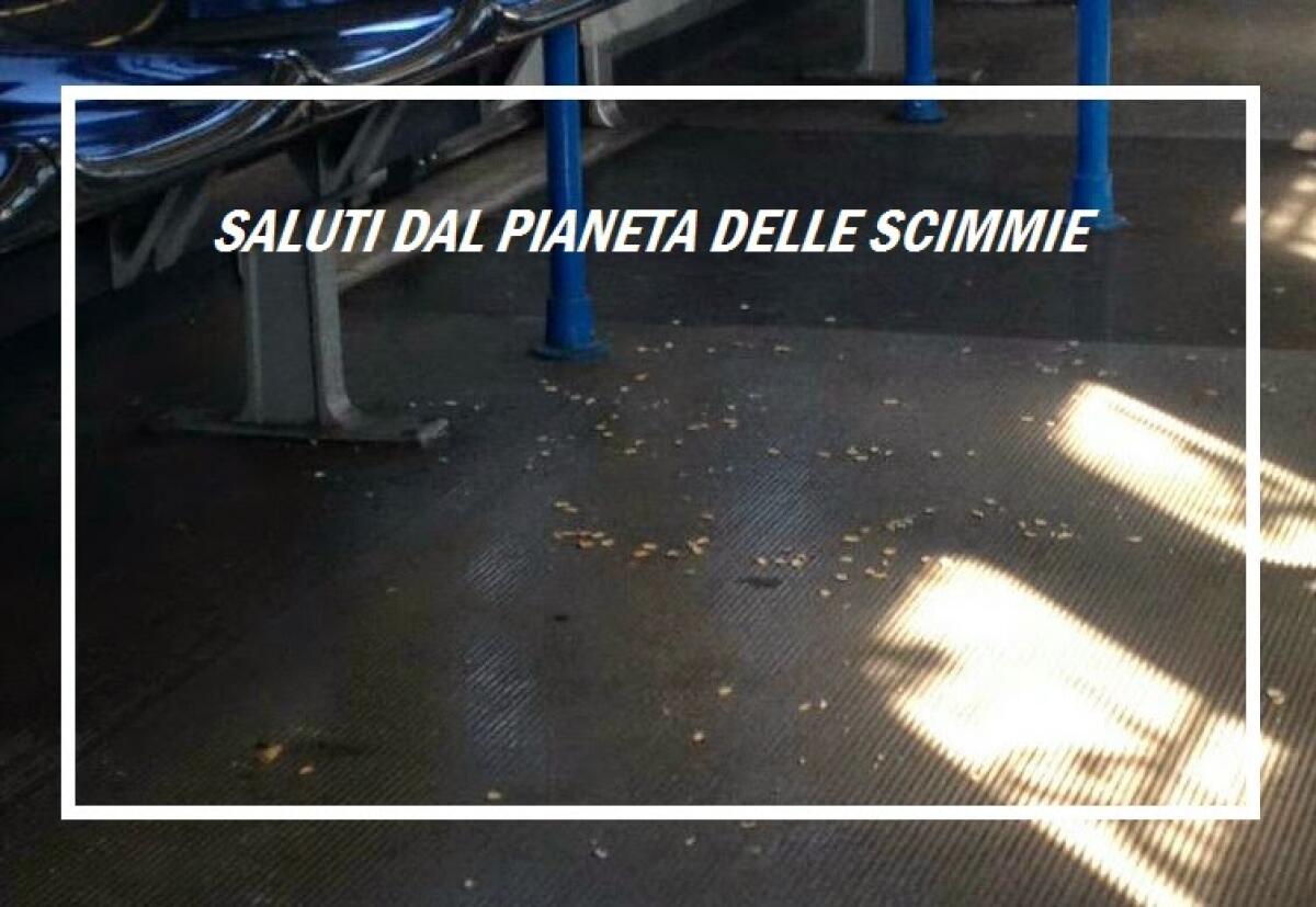 L'anello di congiunzione tra l'uomo e la scimmia... - 