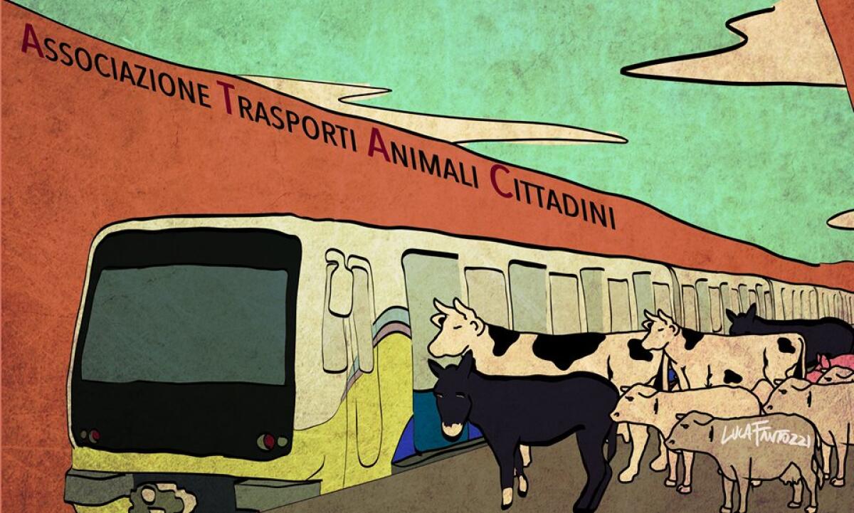 Treni con frequenza a metteteve l'anima in pace... - 