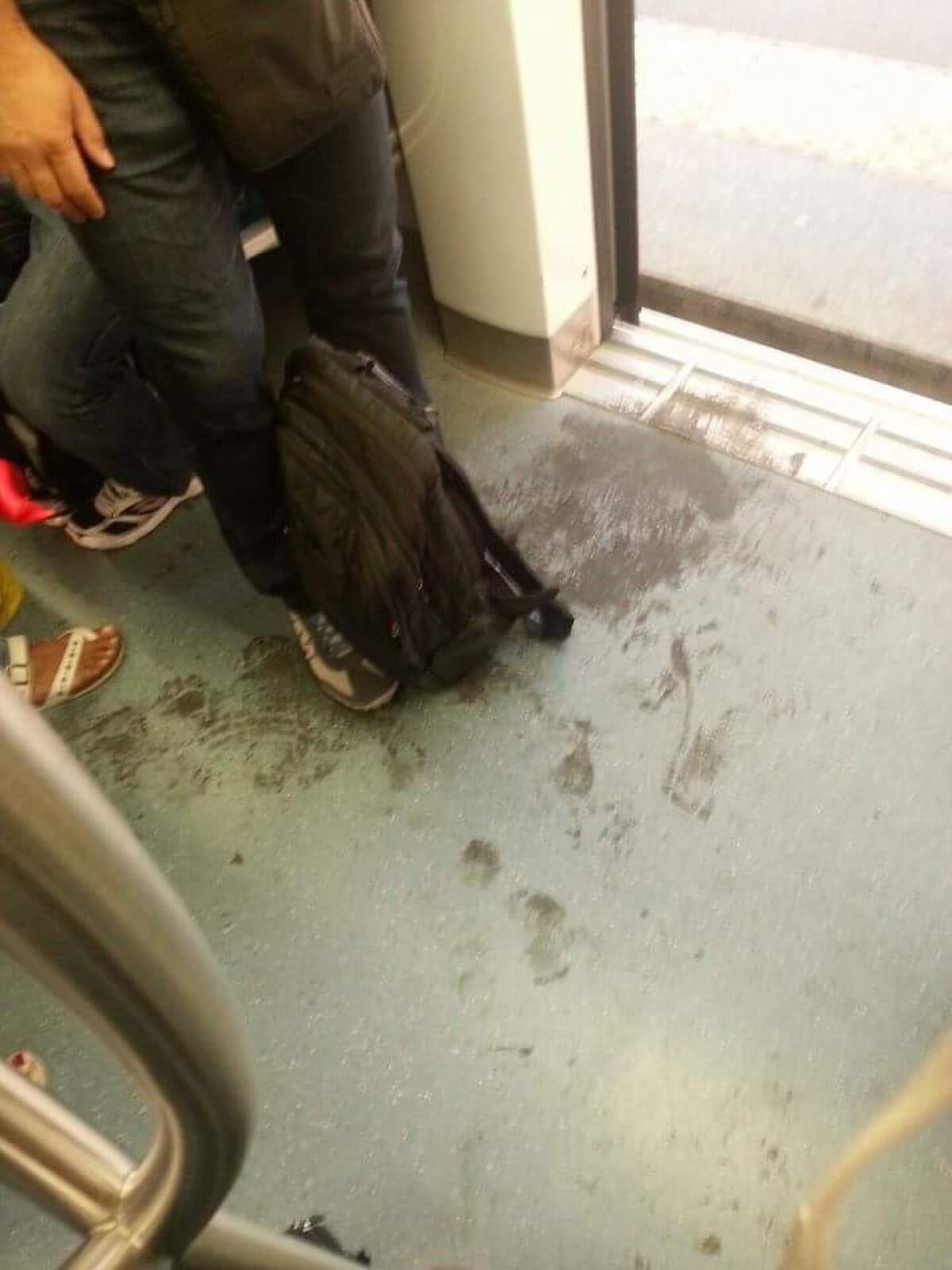 Notizie dalla Roma-Lido  - 