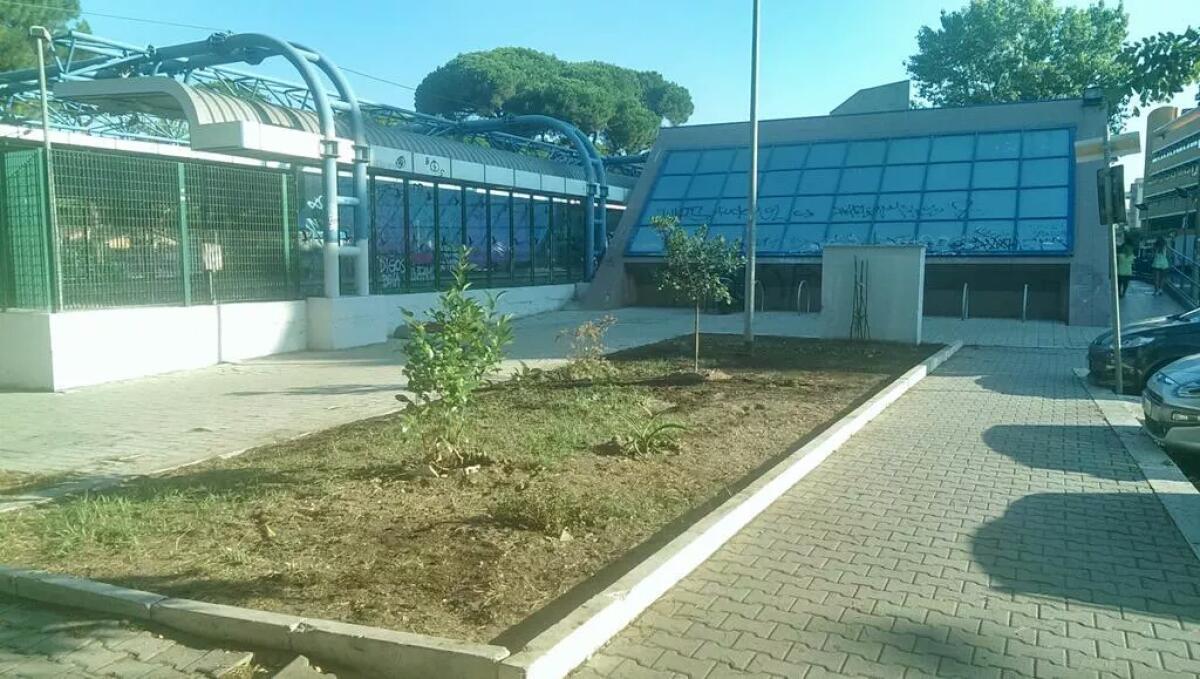 Una buona notizia da Lido Nord - 