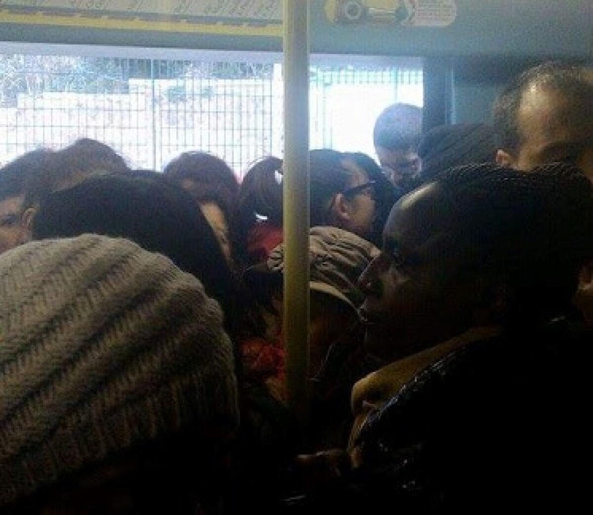 La #fecciadelmale è un crimine contro l'umanità - 