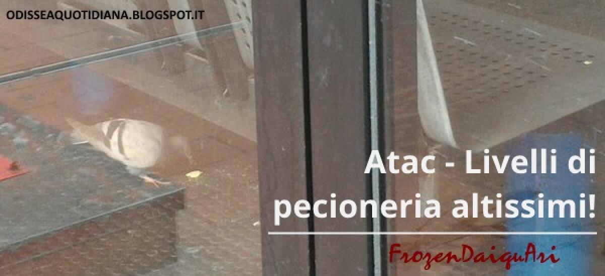 #Atac - Livelli di pecioneria altissimi! - 