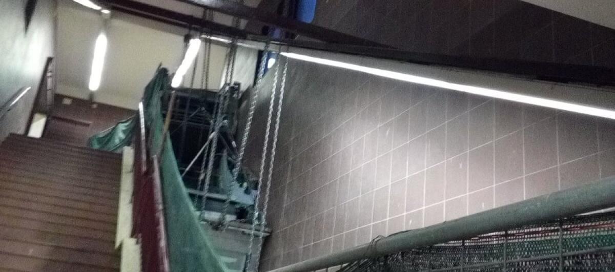 Ultime notizie da Ostia Antica - 