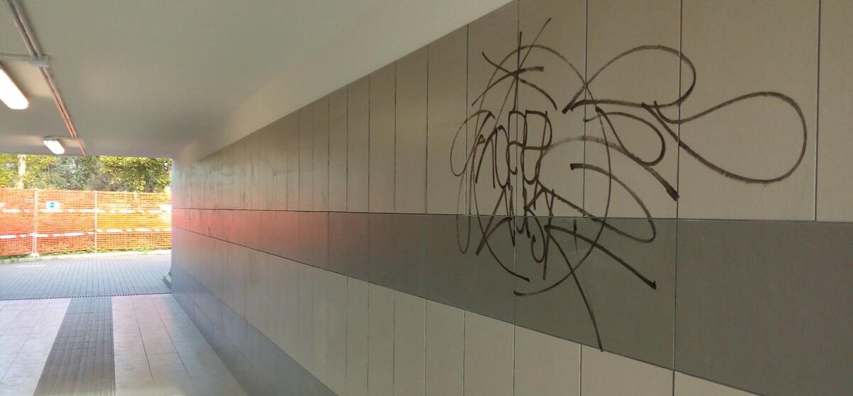 I primi scarabocchi a Tor di Valle - 