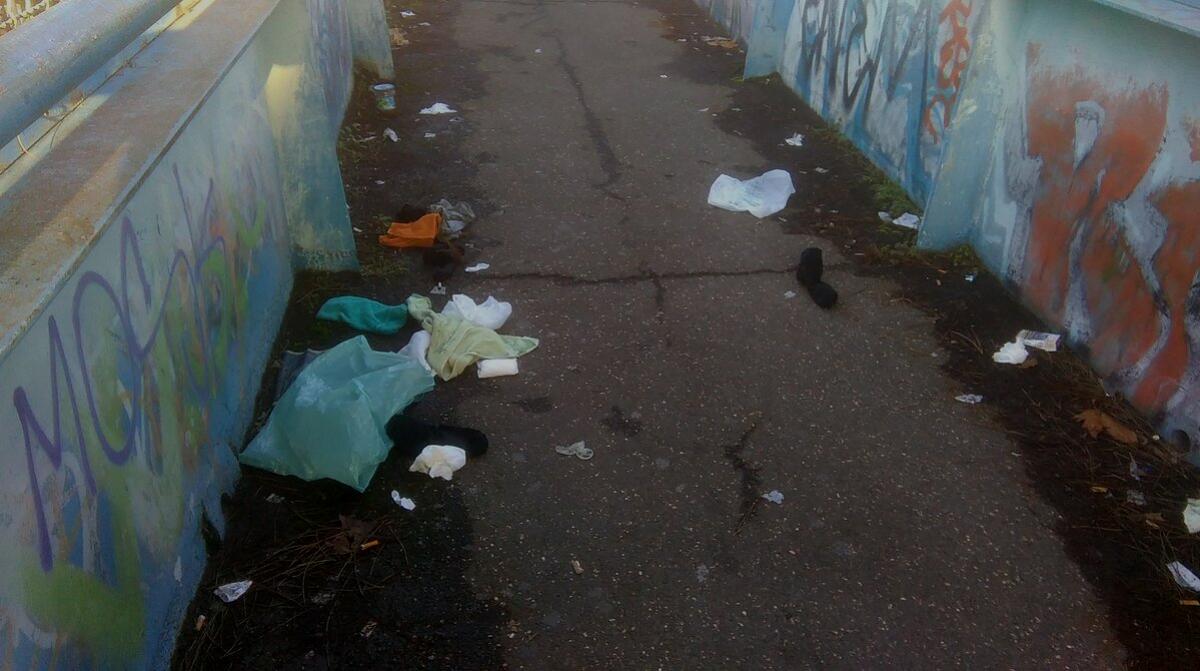 Il degrado del ponte di ostia antica - 