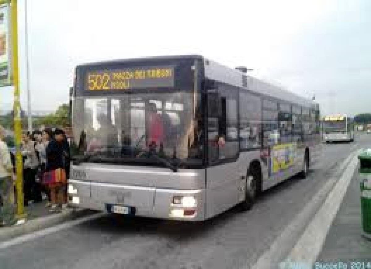 Il 502 ad Anagnina, le risposte degli utenti (per gli utenti) - 