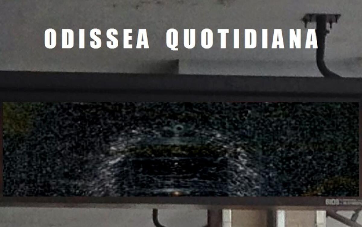 Odissea Quotidiana: Le notizie di oggi - 