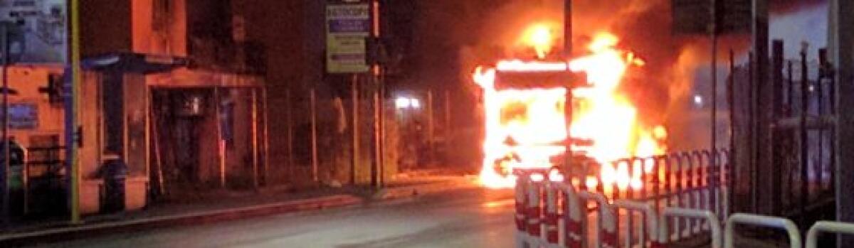 Autobus nuovi fiammanti - 