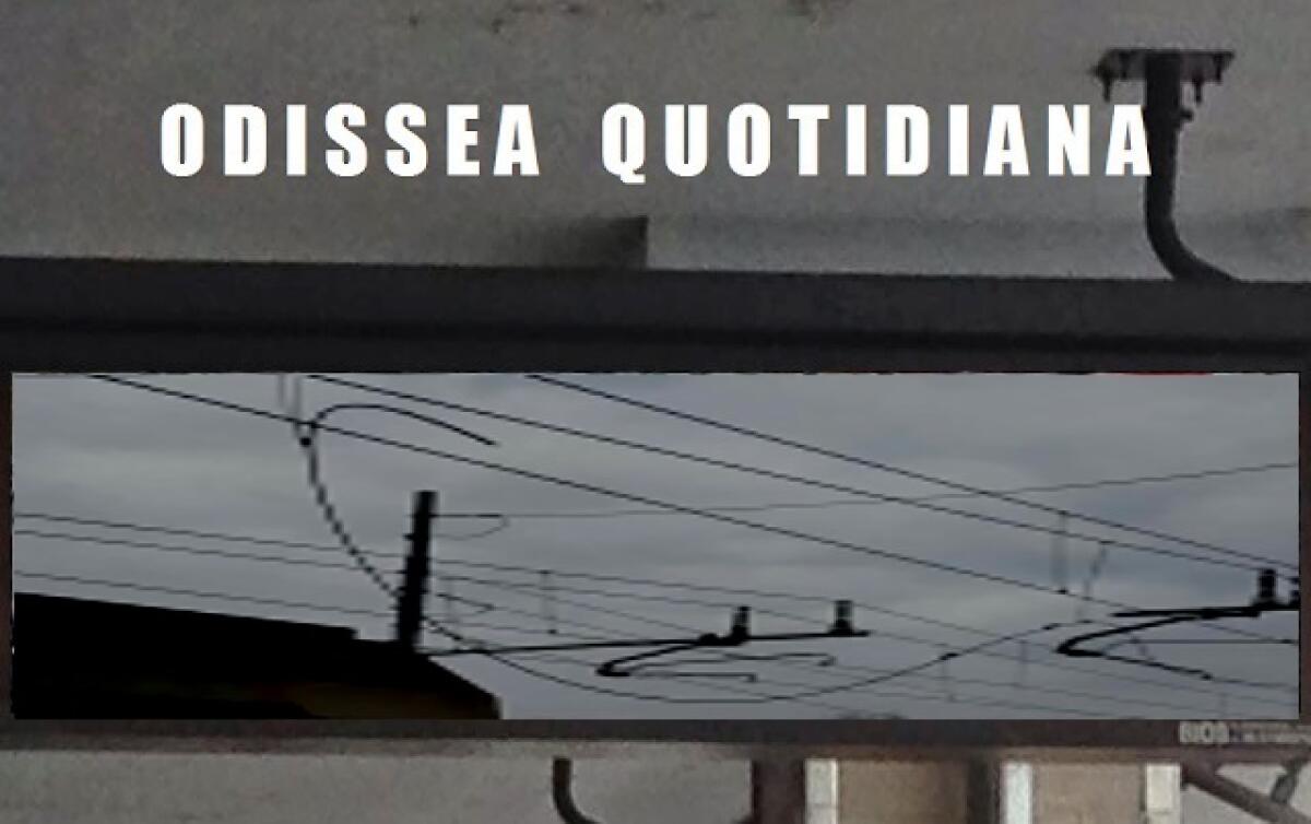 Odissea Quotidiana: Le notizie di oggi - 