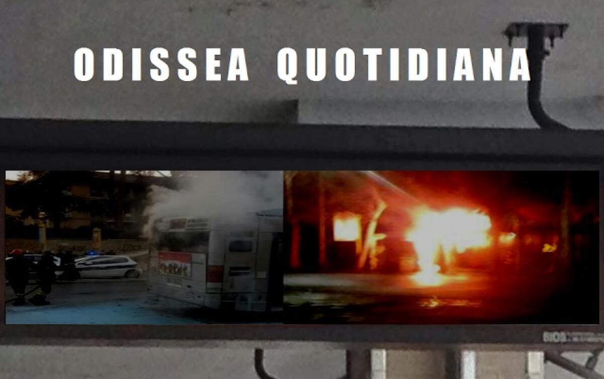 Odissea Quotidiana: Le notizie di oggi  - 