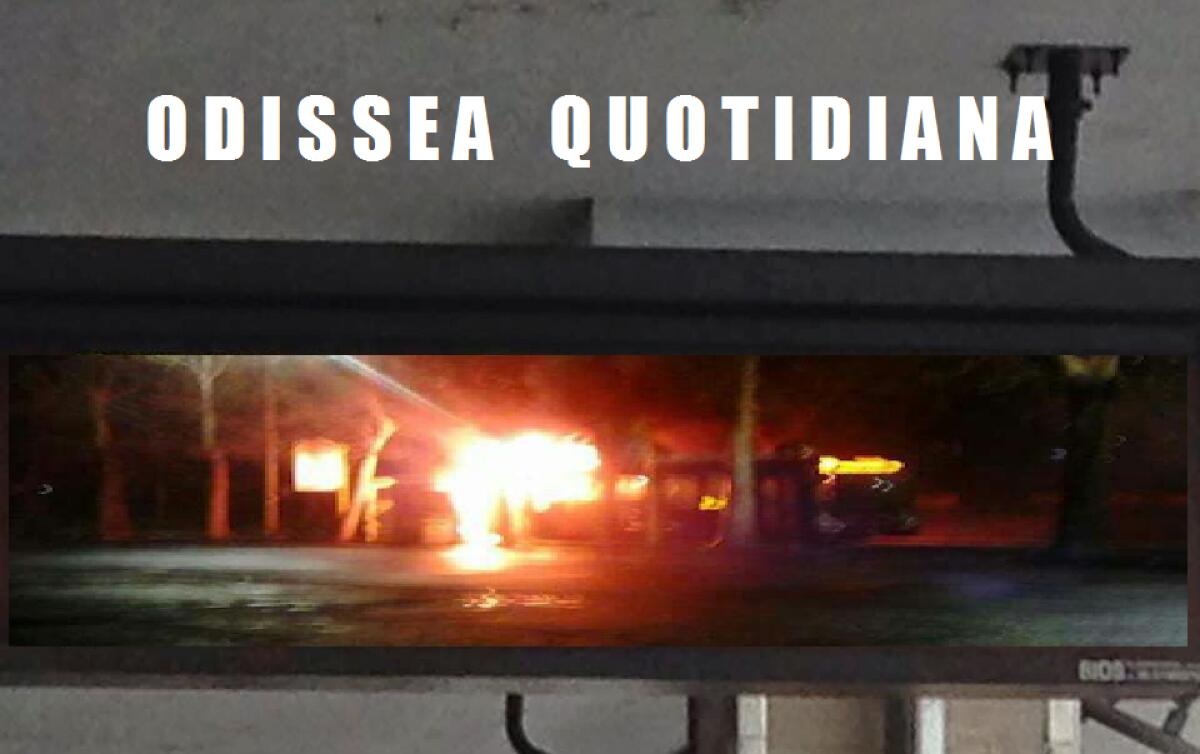 Odissea Quotidiana: Le notizie di oggi - 