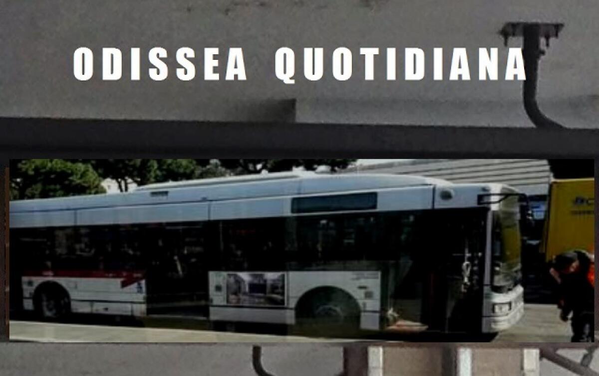 Odissea Quotidiana: Le notizie di oggi - 